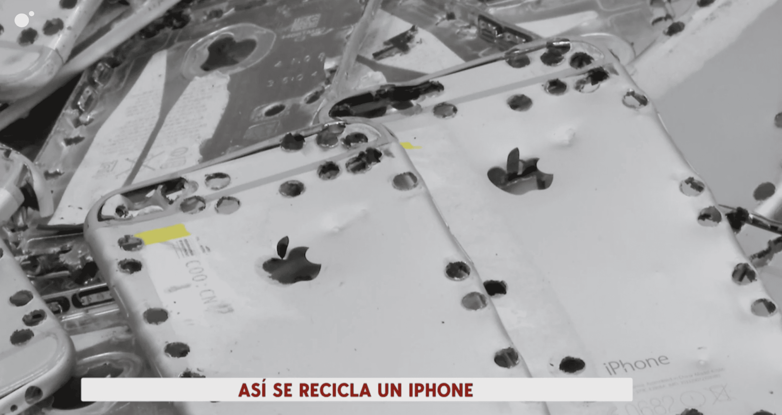 Disassembled iPhones for recycling at Breda, focusing on Apple Daisy process.